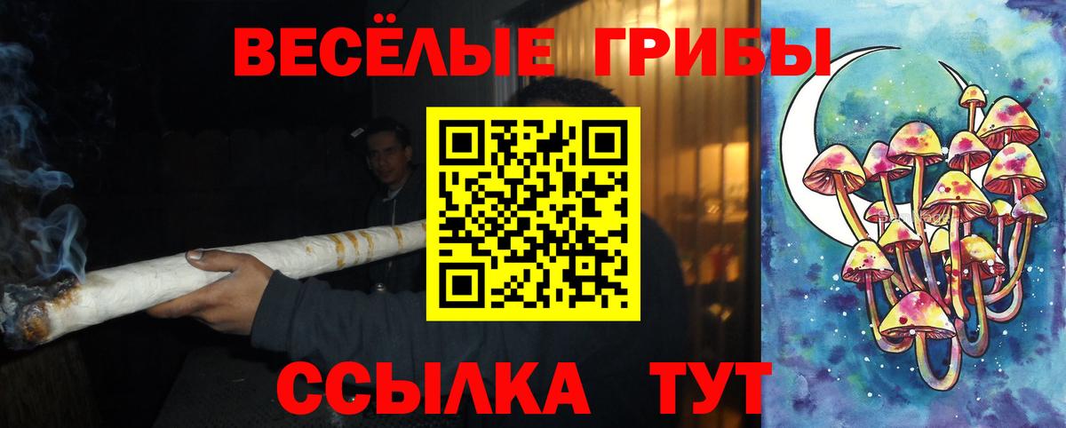 Галлюциногенные грибы мухоморы Белово